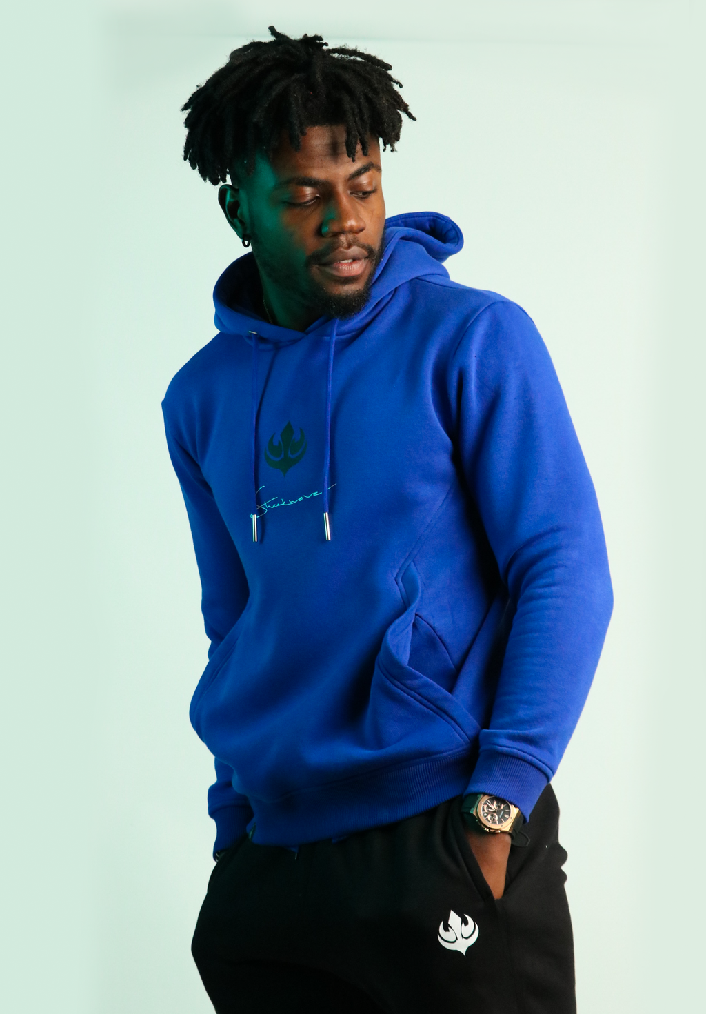 Blue Swift Hoodie